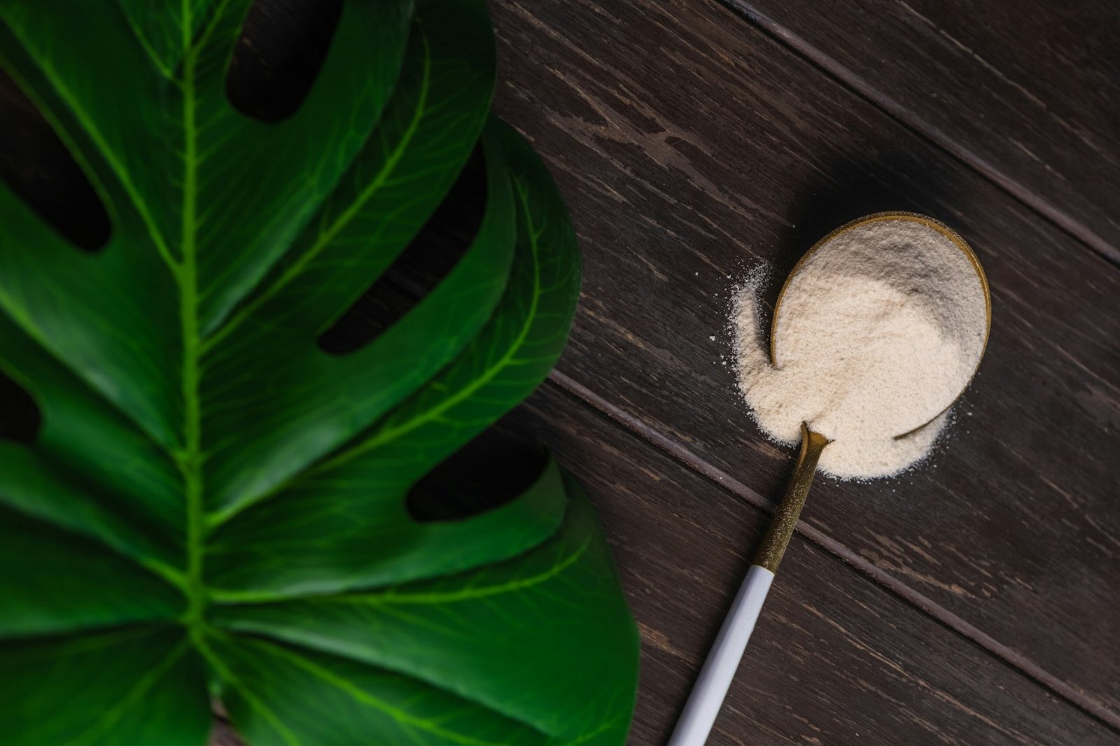 Collagen powder in spoon on wooden brown background.