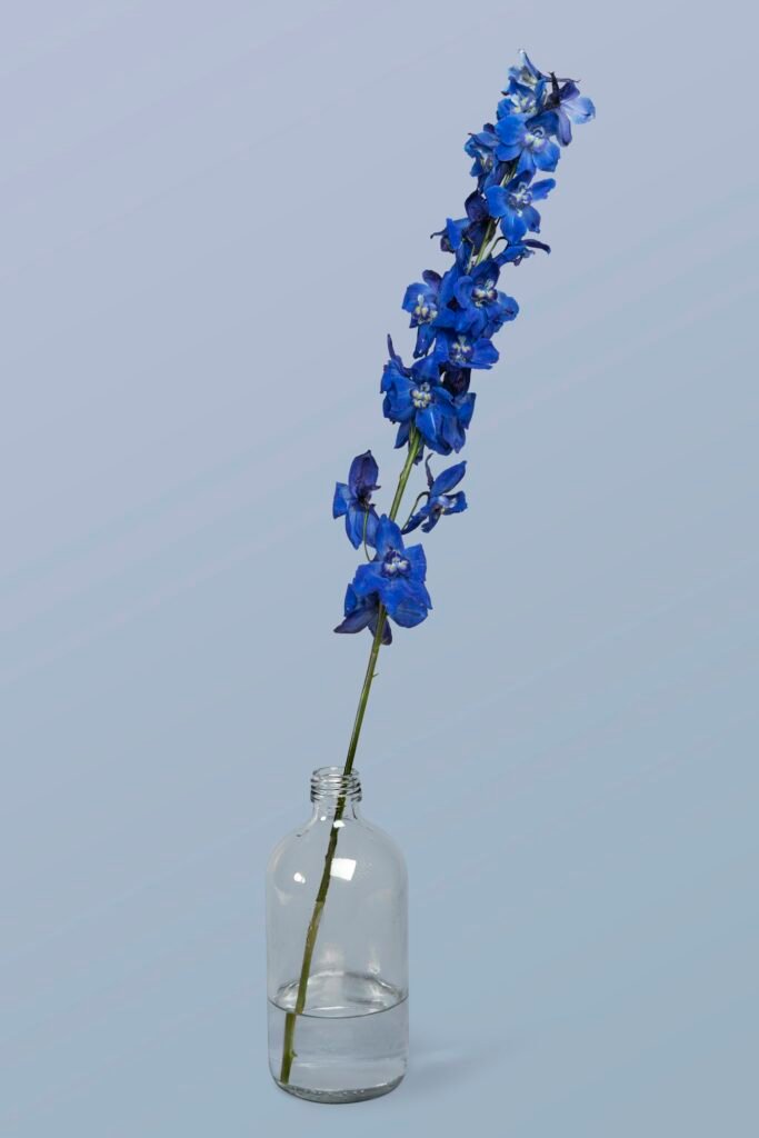 Blooming delphinium in a bottle vase