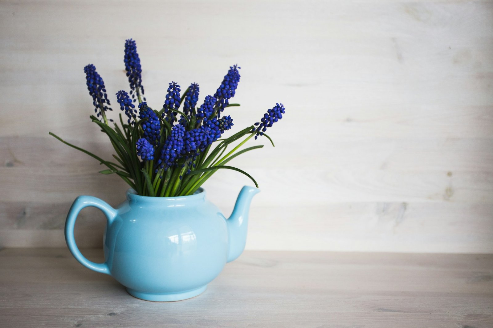 Blue flowers in a vase. Vintage